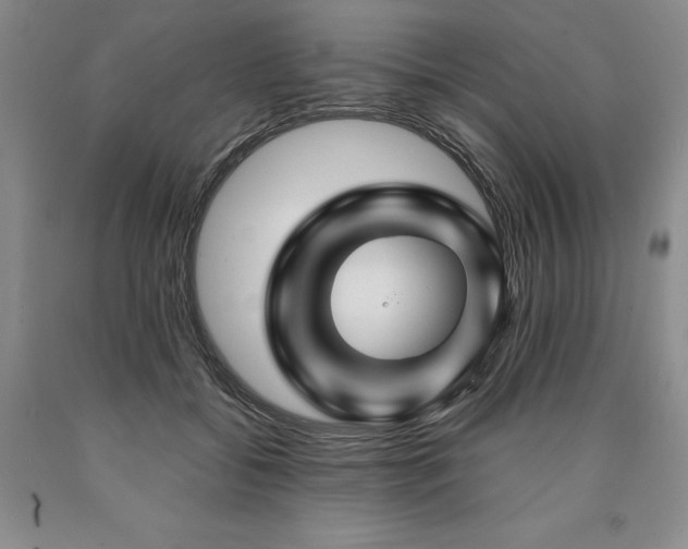 X0000090870556200707271253