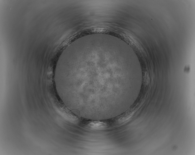 X0000090870557200707271253