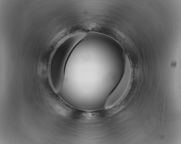 X0000090870558200707271253