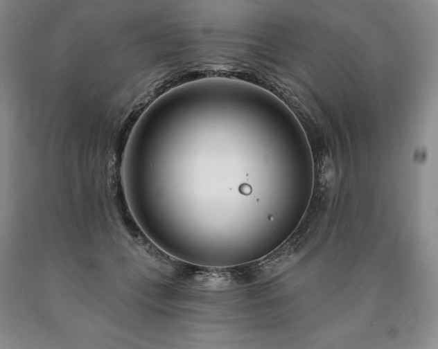 X0000090870559200707271253