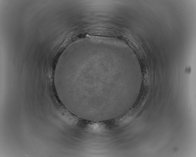 X0000090870561200707271253