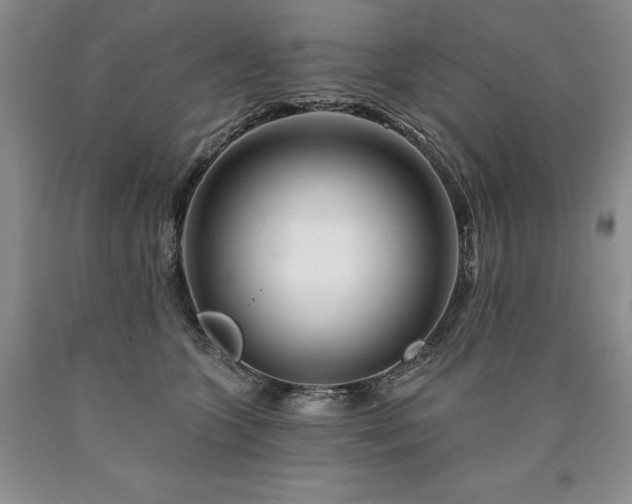 X0000090870563200707271253