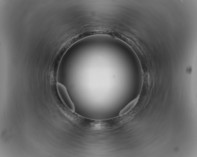 X0000090870564200707271253