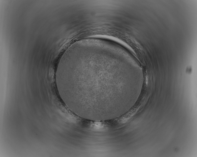 X0000090870565200707271253