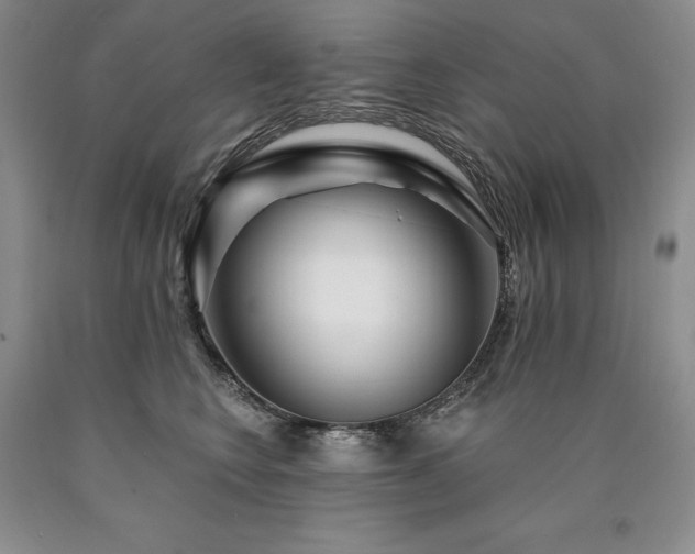 X0000090870566200707271253