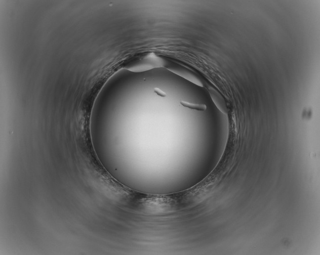 X0000090870567200707271253