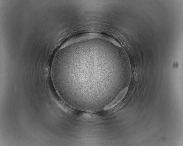 X0000090870568200707271253