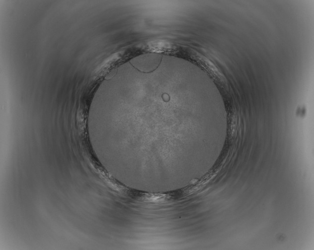 X0000090870569200707271253