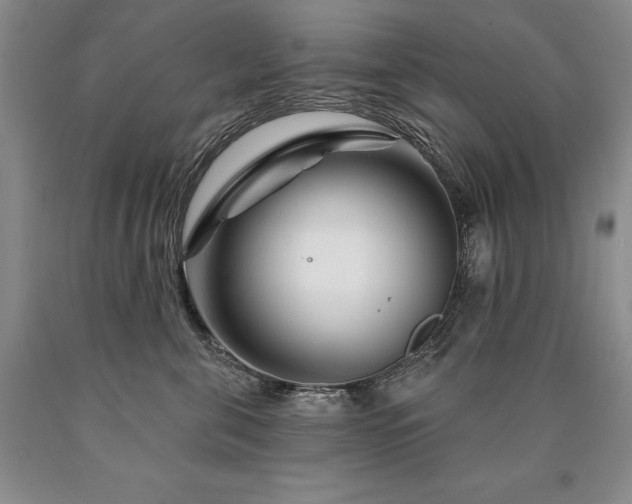 X0000090870571200707271253