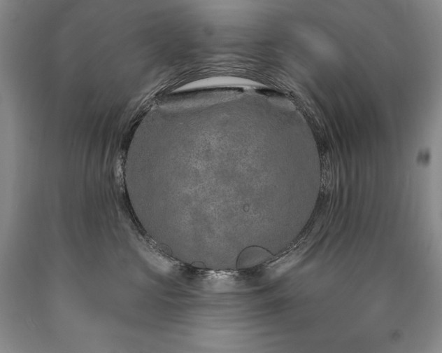 X0000090870573200707271253