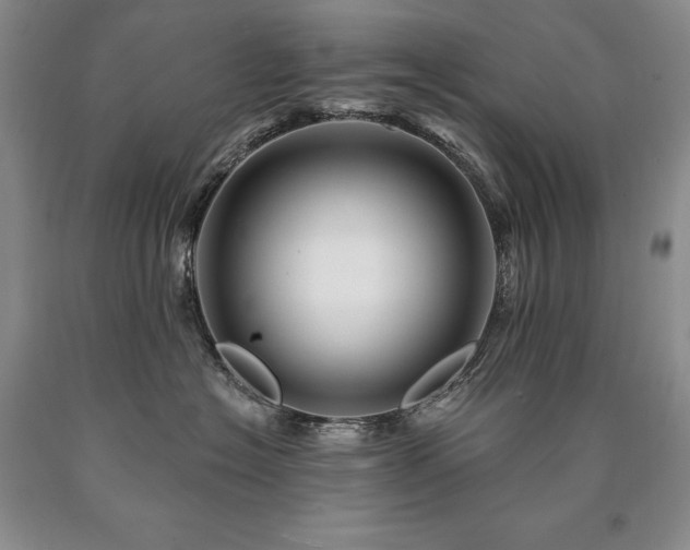 X0000090870574200707271253