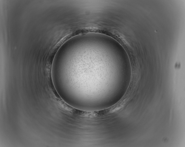 X0000090870576200707271253