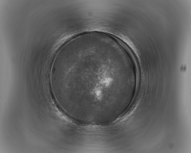 X0000090870577200707271252