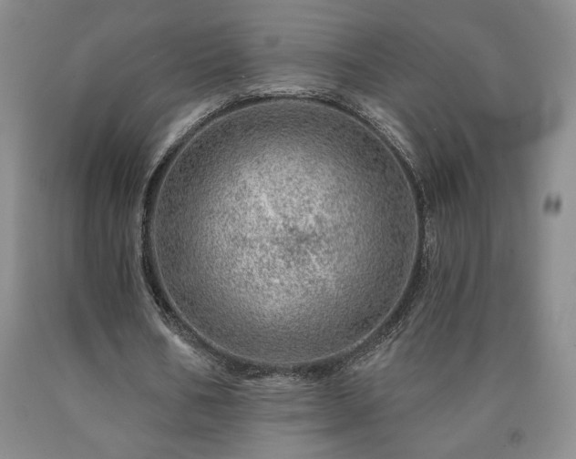 X0000090870578200707271252