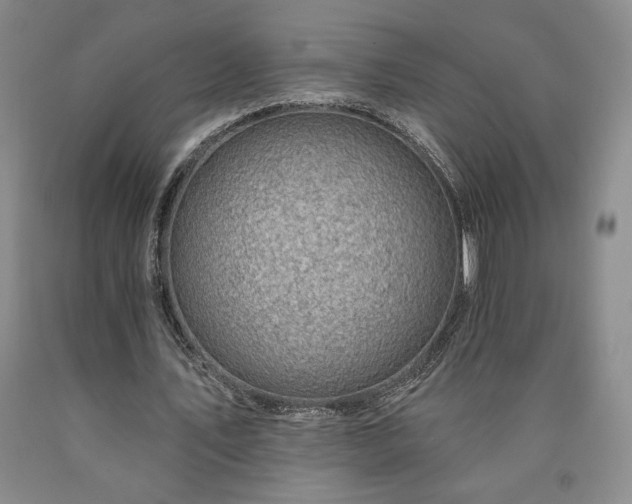 X0000090870579200707271252