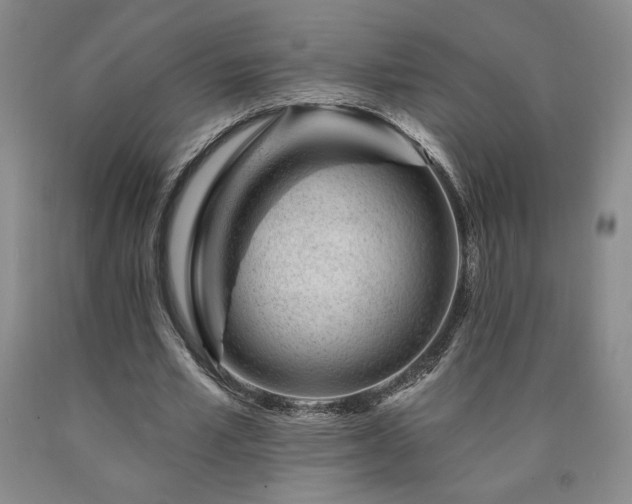 X0000090870581200707271252