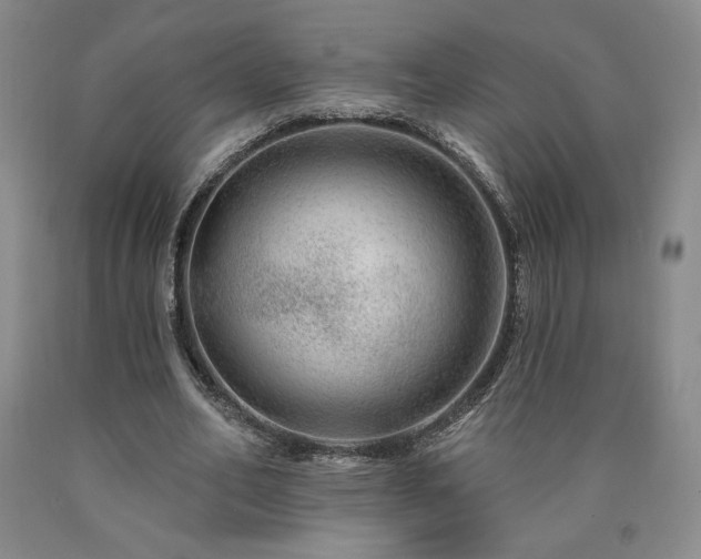 X0000090870582200707271252