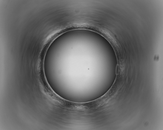 X0000090870583200707271252