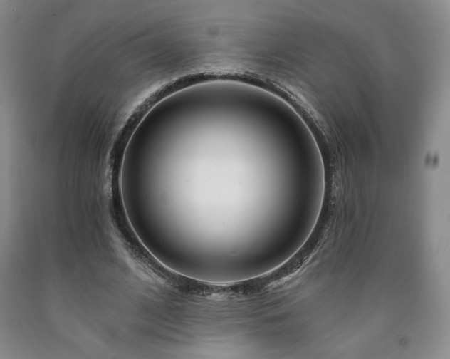 X0000090870584200707271252