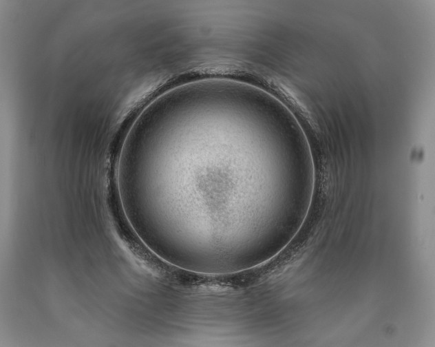 X0000090870586200707271252