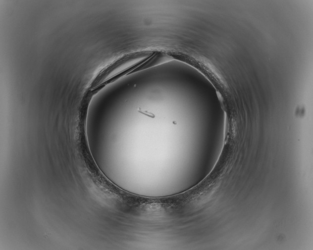 X0000090870588200707271252