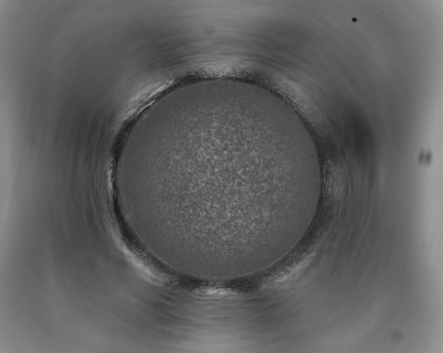 X0000090870590200707271252