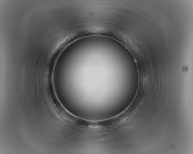 X0000090870591200707271252