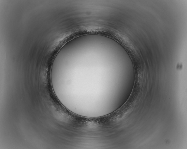 X0000090870592200707271252