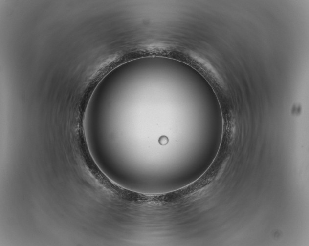 X0000090870593200707271252