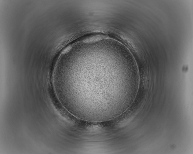 X0000090870594200707271252