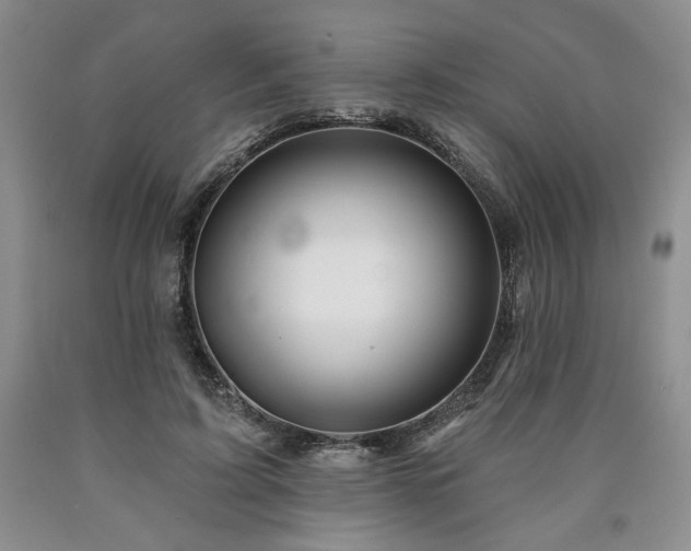 X0000090870595200707271252