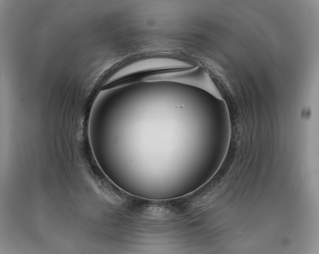 X0000090870596200707271252