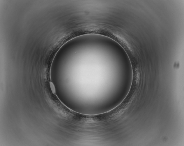 X0000090870597200707271252