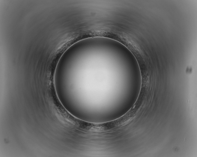 X0000090870599200707271252