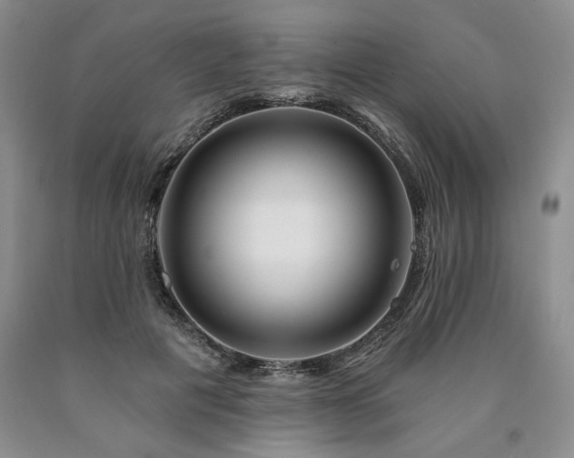 X0000090870601200707271252