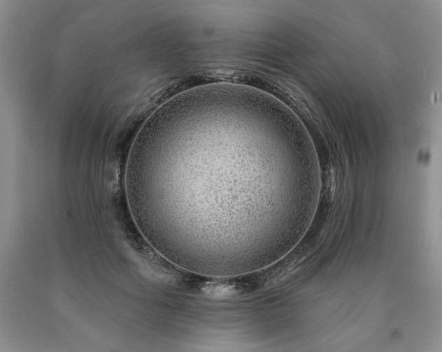 X0000090870602200707271252