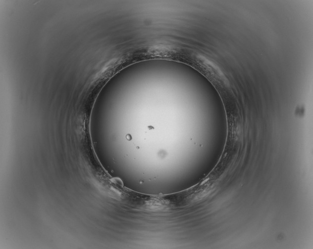 X0000090870603200707271252