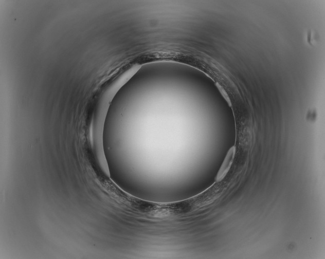 X0000090870604200707271252