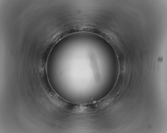 X0000090870607200707271252