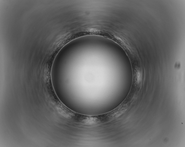 X0000090870609200707271252