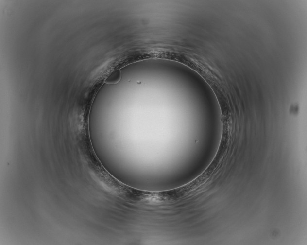 X0000090870611200707271252