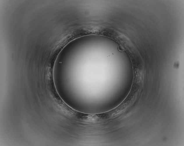 X0000090870612200707271252