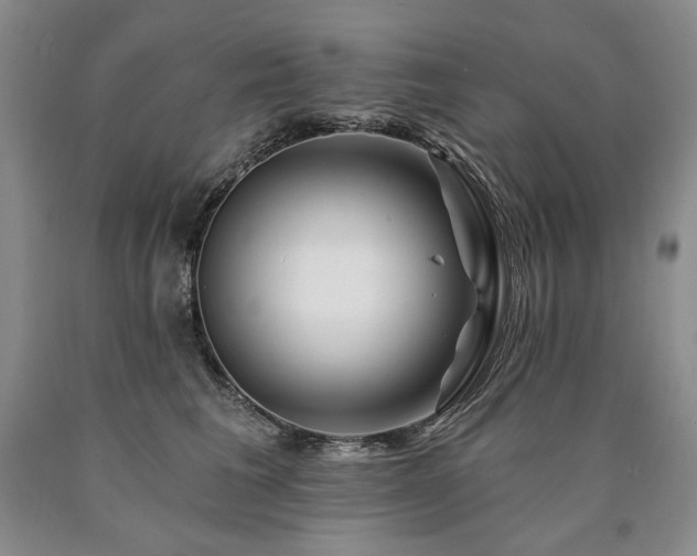 X0000090870613200707271252