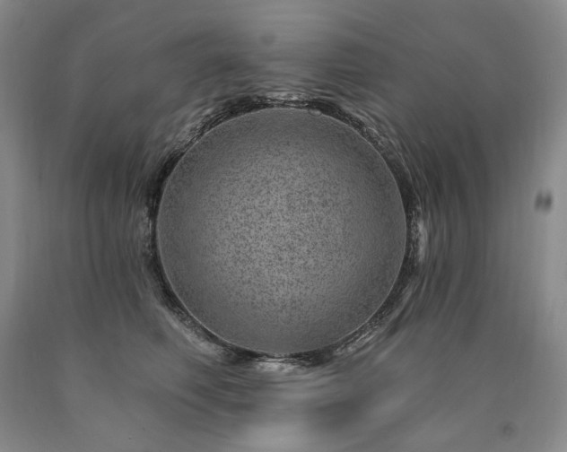 X0000090870614200707271252