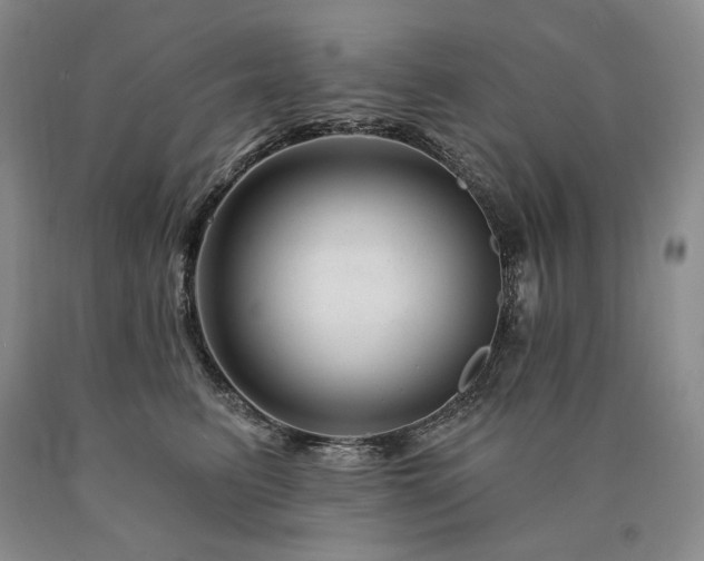 X0000090870615200707271252