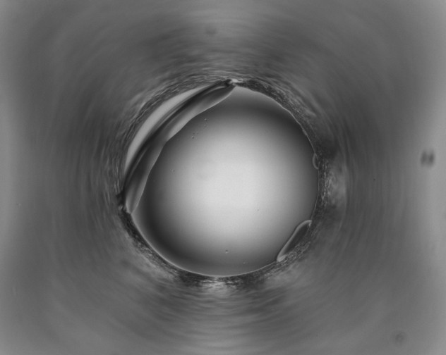 X0000090870616200707271252