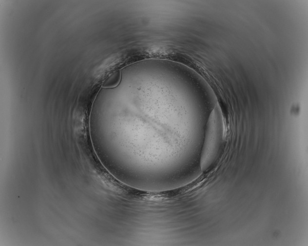 X0000090870619200707271252