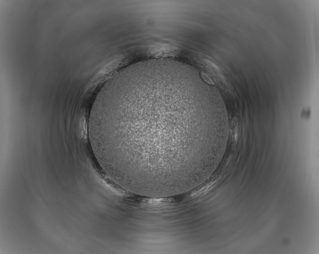 X0000090870622200707271252