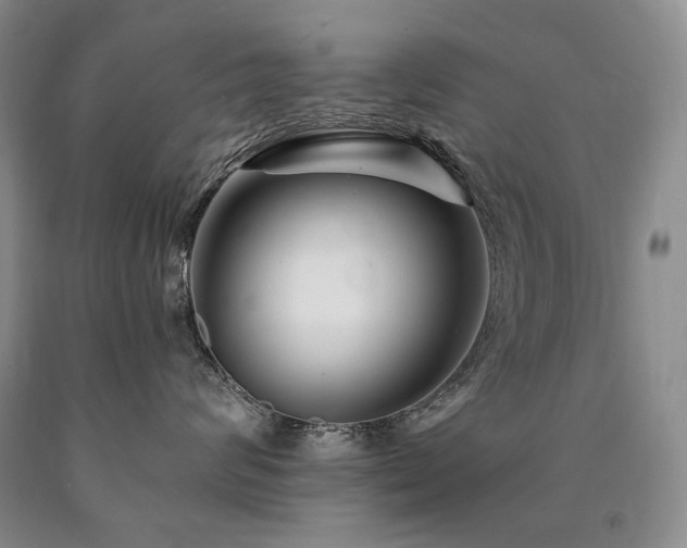 X0000090870624200707271252