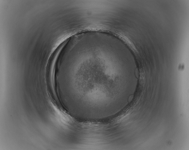 X0000090870626200707271251